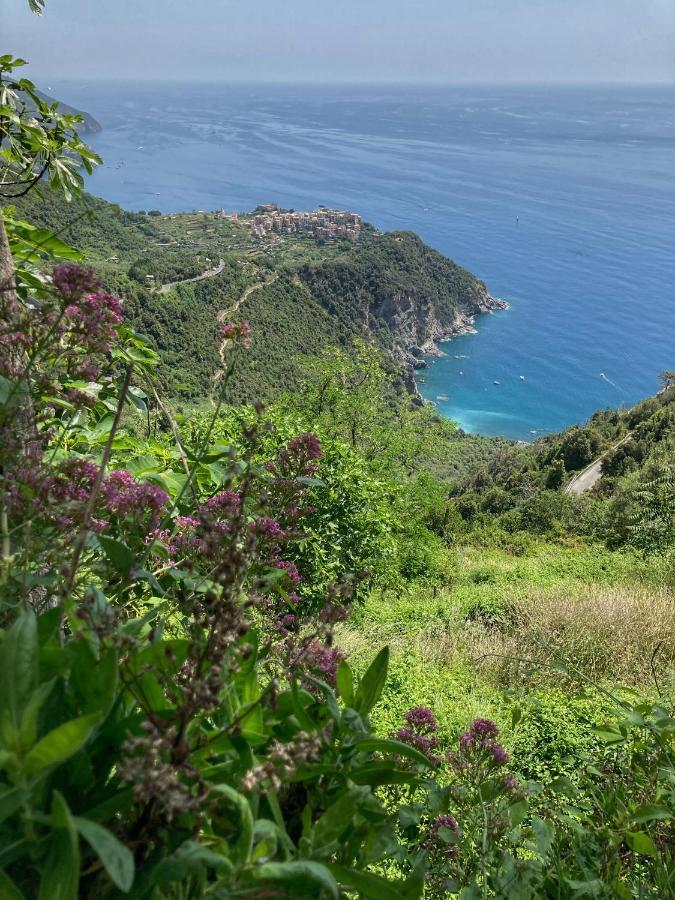 La Casa Rossa Arcola Con Vista Villa Bagian luar foto
