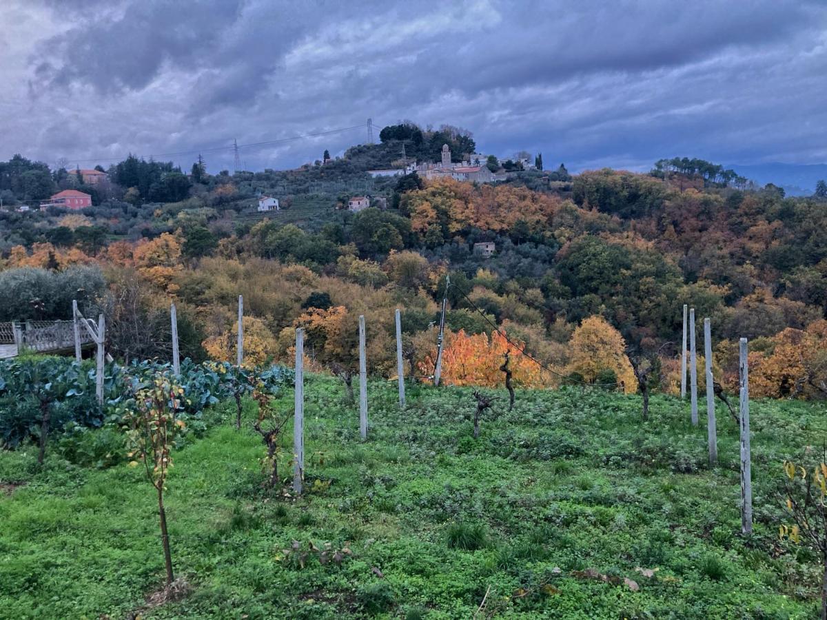 La Casa Rossa Arcola Con Vista Villa Bagian luar foto